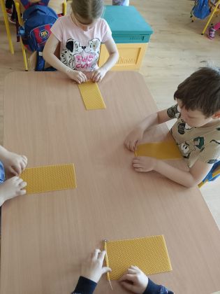 Obrazy newsów: dzienpszczoly_7.jpg