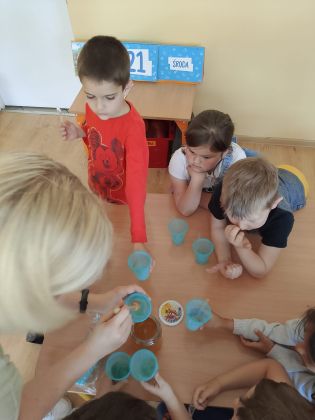 Obrazy newsów: dzienpszczoly_9.jpg