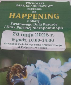 Obrazy news&oacute;w: happening_11.jpg