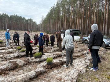Obrazy news&oacute;w: sadzenielasu2026_3.jpg