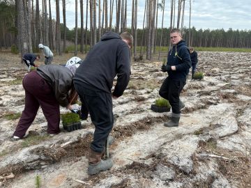 Obrazy news&oacute;w: sadzenielasu2026_4.jpg