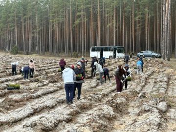 Obrazy news&oacute;w: sadzenielasu2026_6.jpg